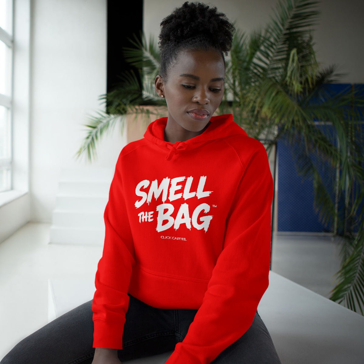 Smell The Bag Hoodie — Streetwear Money Graphic Pullover