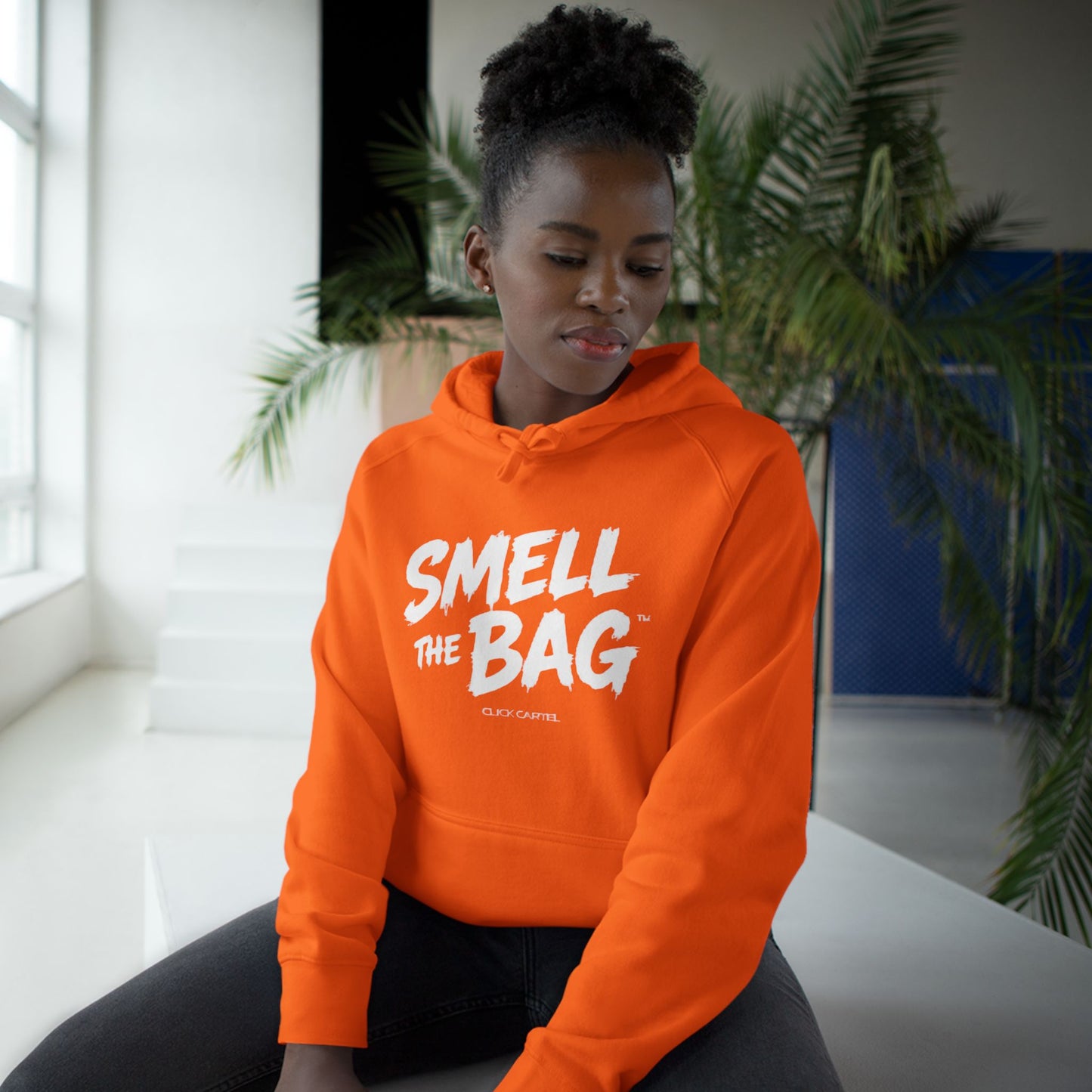 Smell The Bag Hoodie — Streetwear Money Graphic Pullover